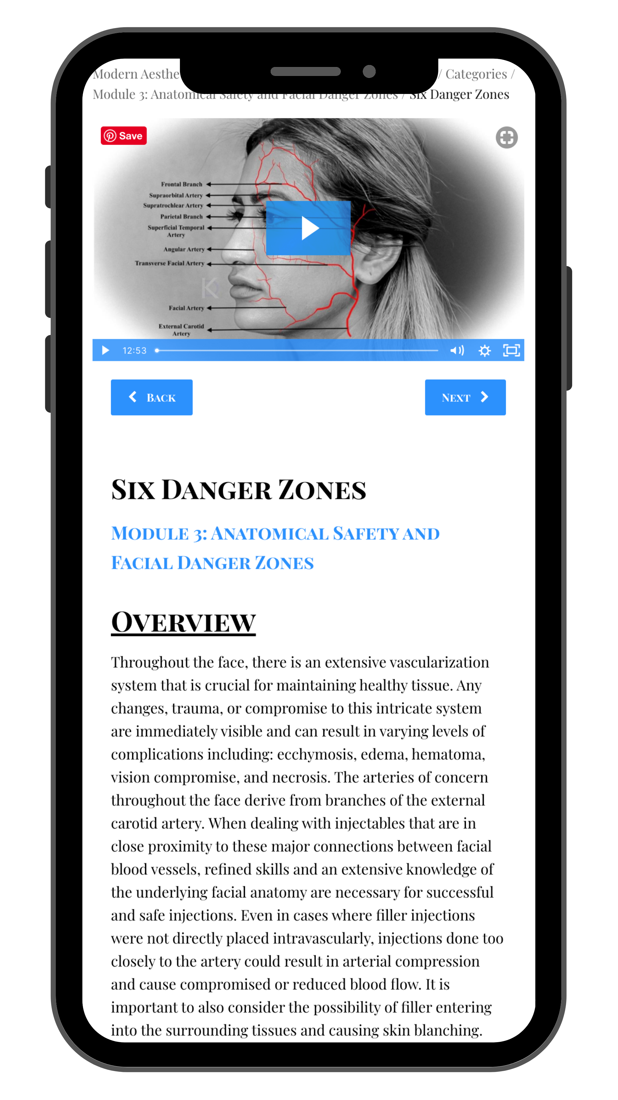 Modern Aesthetic Theory & Artistry Mobile